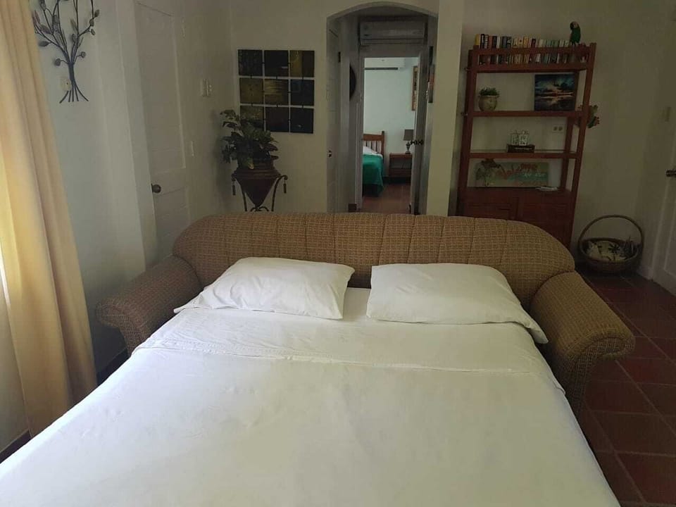 Pullout sofa bed in the living room.