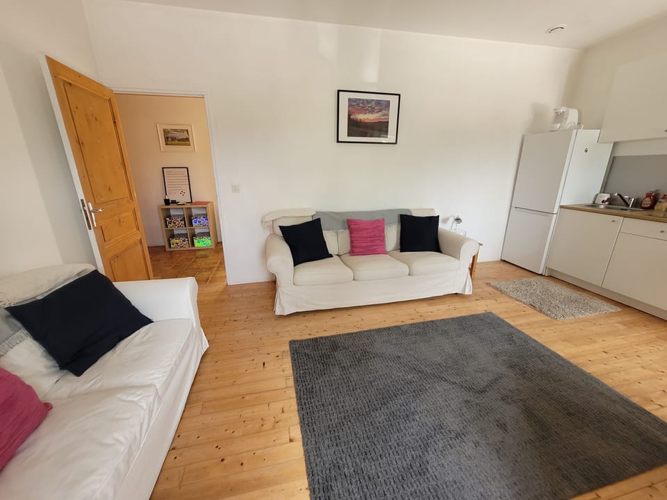 The lounge area looking out towards the entrance hall. 