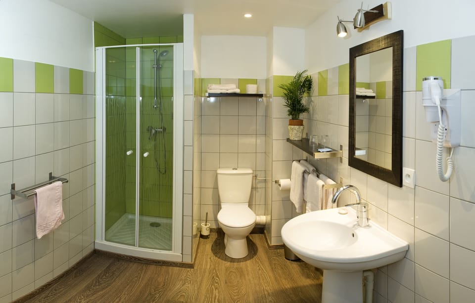 Shower, hair dryer, towels