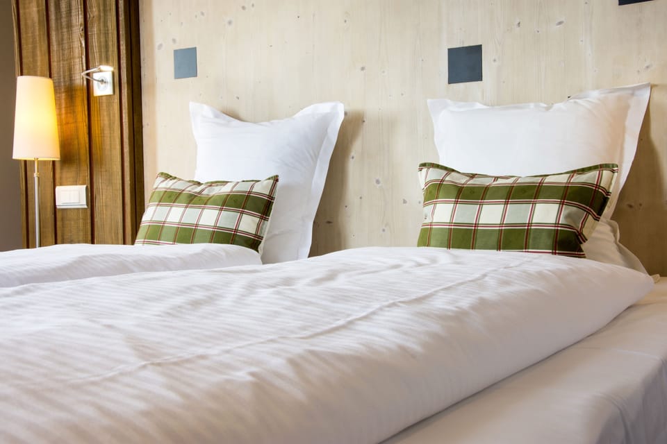 Schneeberg - Free Wireless Internet | Desk, laptop workspace, WiFi (free), individually furnished