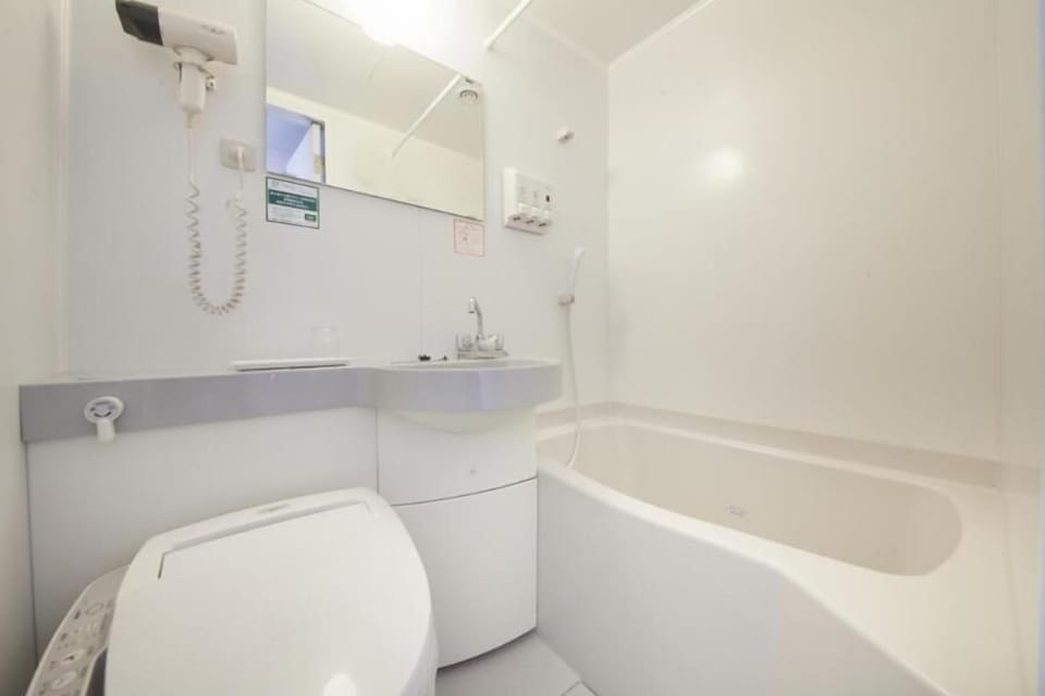 Combined shower/tub, hair dryer, electronic bidet, towels