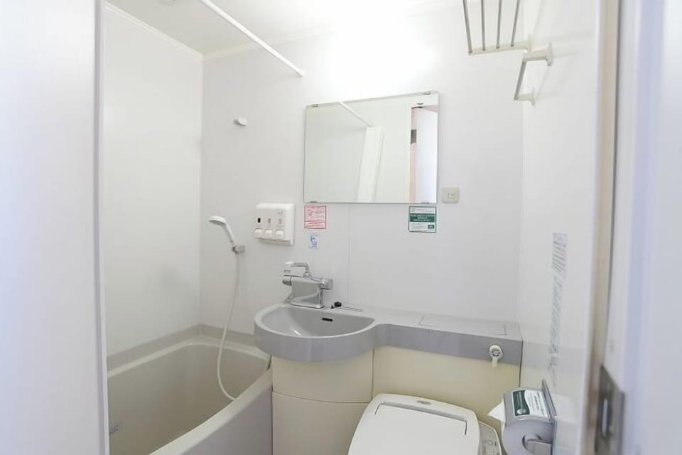 Combined shower/tub, hair dryer, electronic bidet, towels
