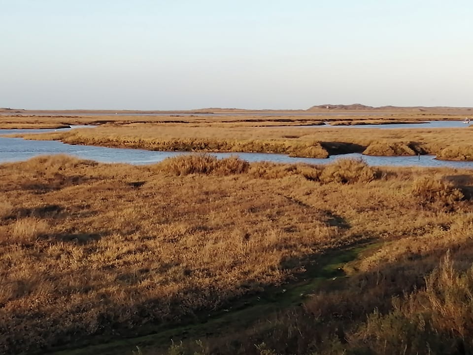 The desolate beauty of the coastal salt marshes | Vista Cottage, Dale View - Sea Marsh Cottages, Brancaster Staithe, near Wells-next-the-Sea