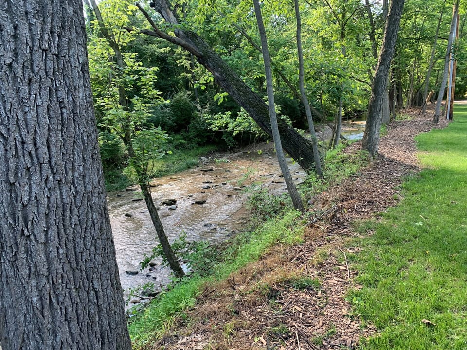 Back Yard Creek