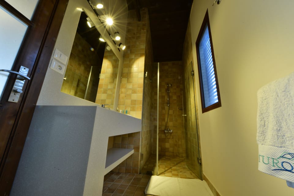 Shower, rainfall showerhead, free toiletries, hair dryer