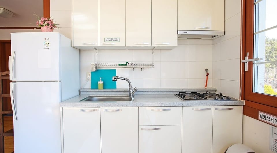 Full-size fridge, microwave, stovetop, electric kettle