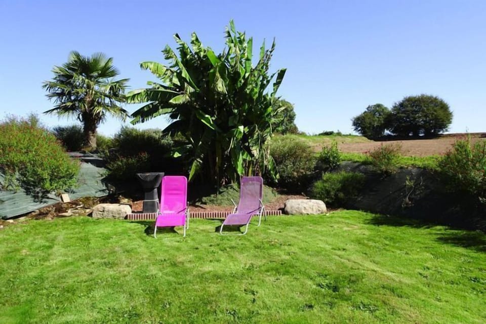 Garden [summer]