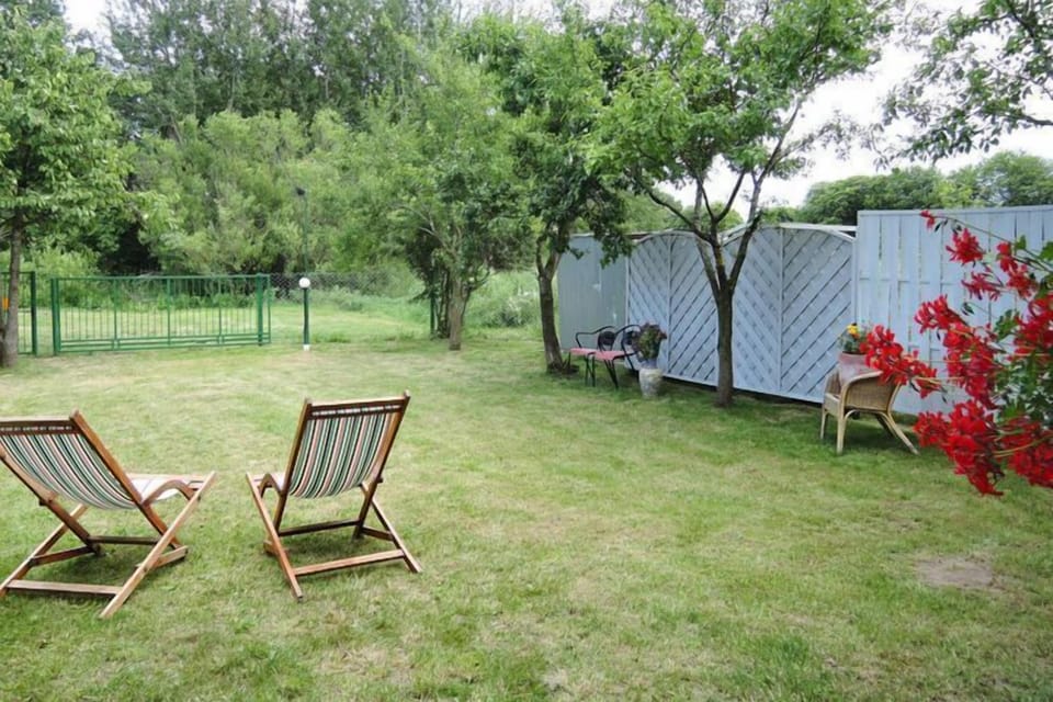 Garden [summer]