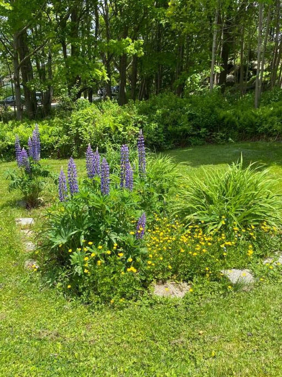 Flower Garden in the large backyard
