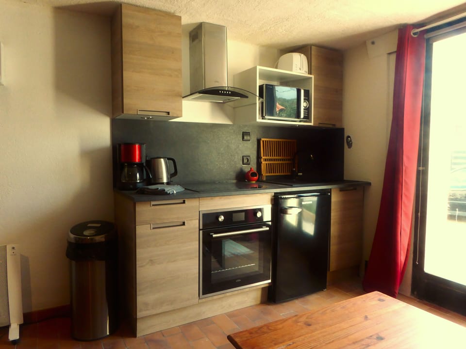Deluxe Apartment | Private kitchen | Fridge, microwave, oven, stovetop