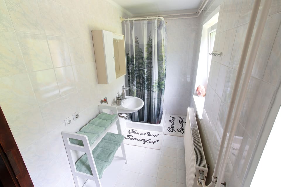 Traditional House | Bathroom shower