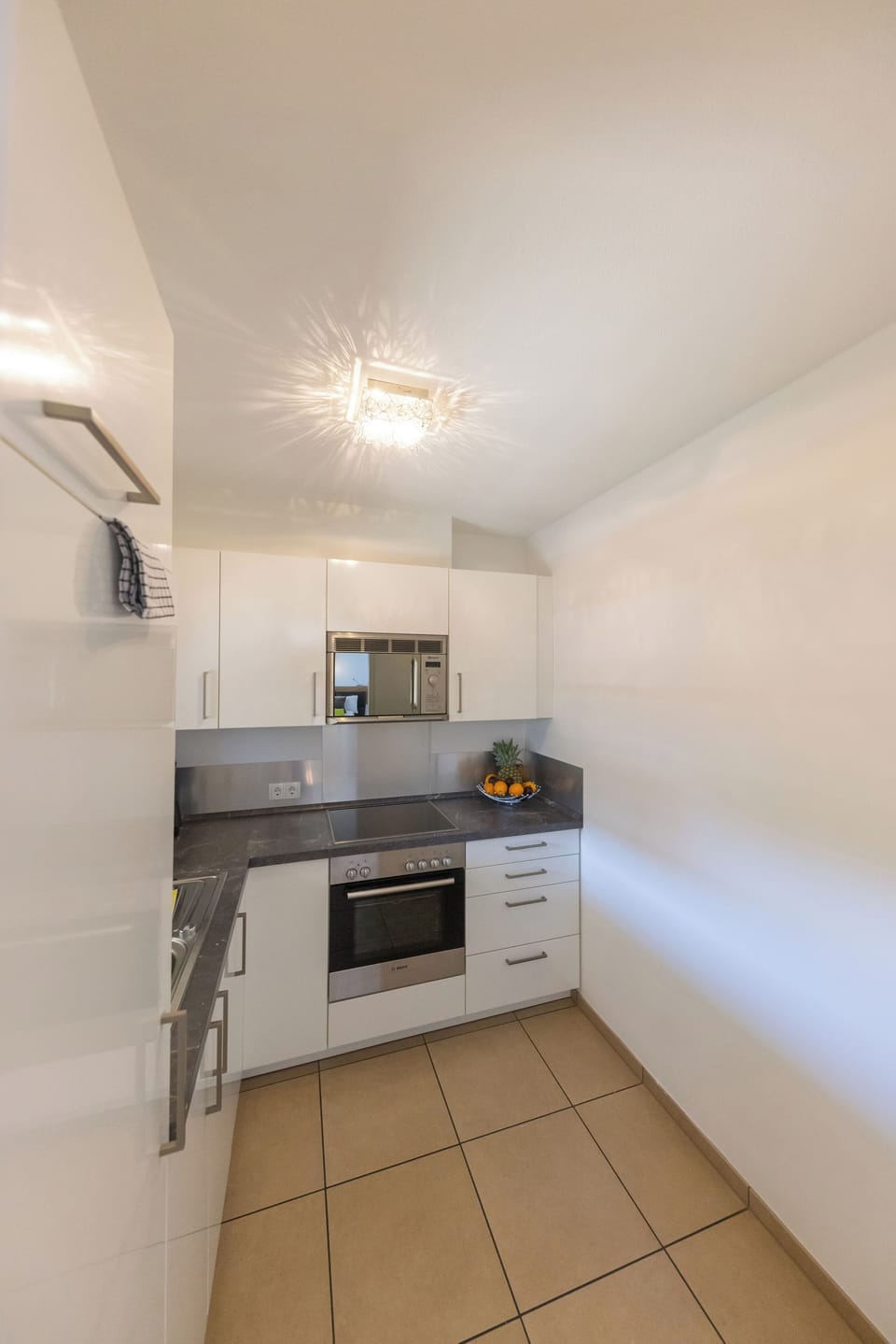 Deluxe Apartment B | Private kitchen | Full-size fridge, microwave, coffee/tea maker, electric kettle