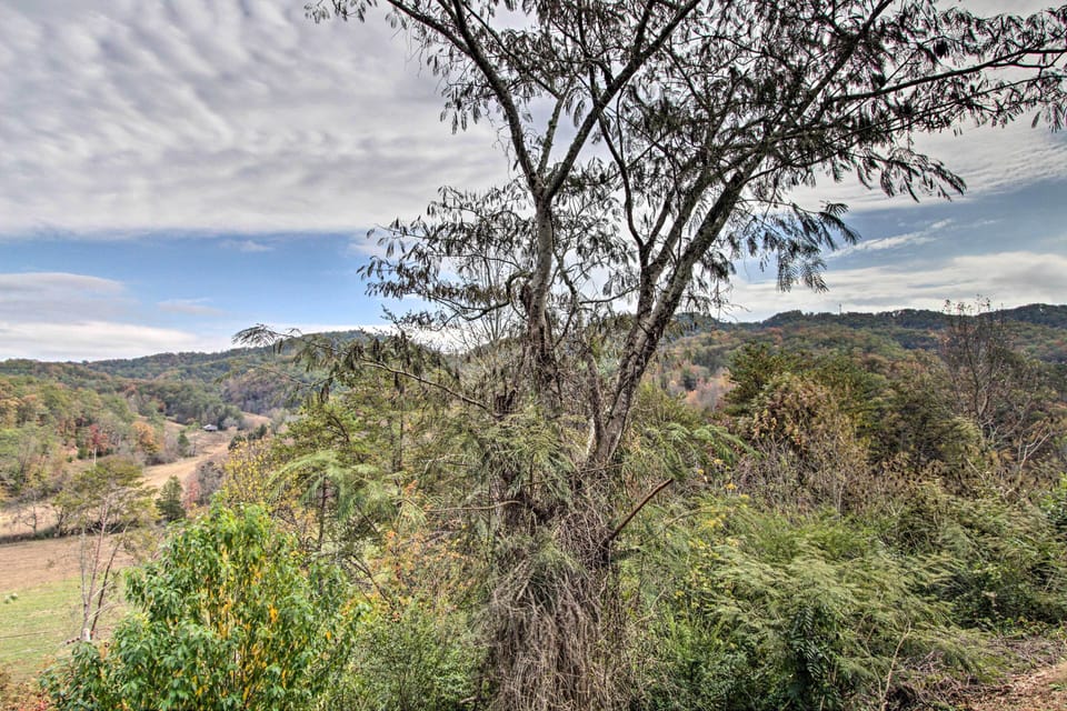 Property Views