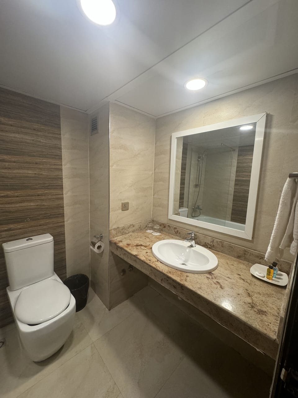 Deluxe Double Room | Bathroom | Free toiletries, hair dryer, bathrobes, slippers