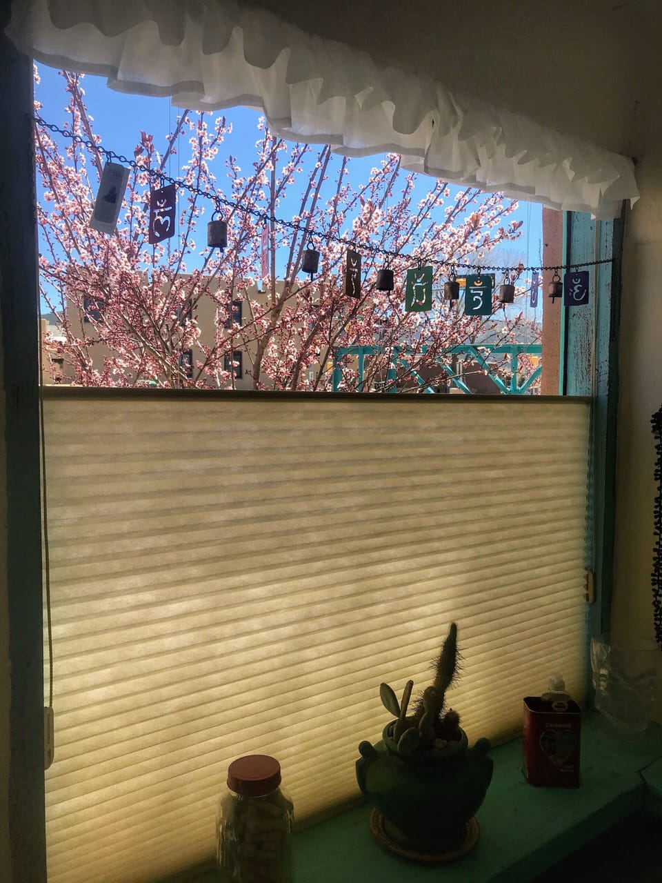 Kitchen area/privacy shade