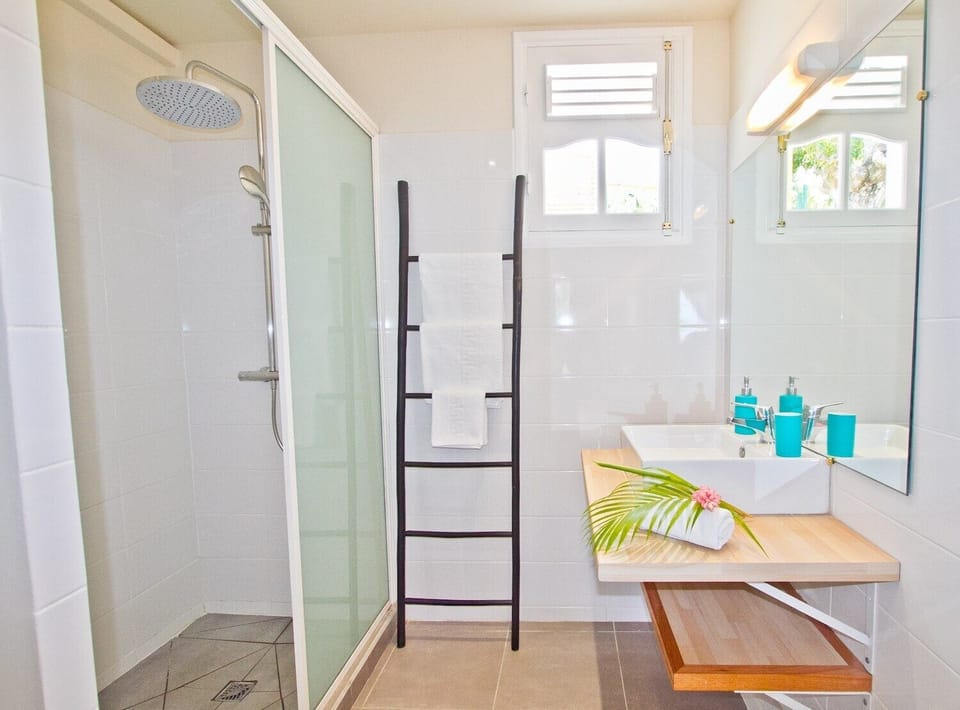 The bathroom with walk-in shower, toilet and sink