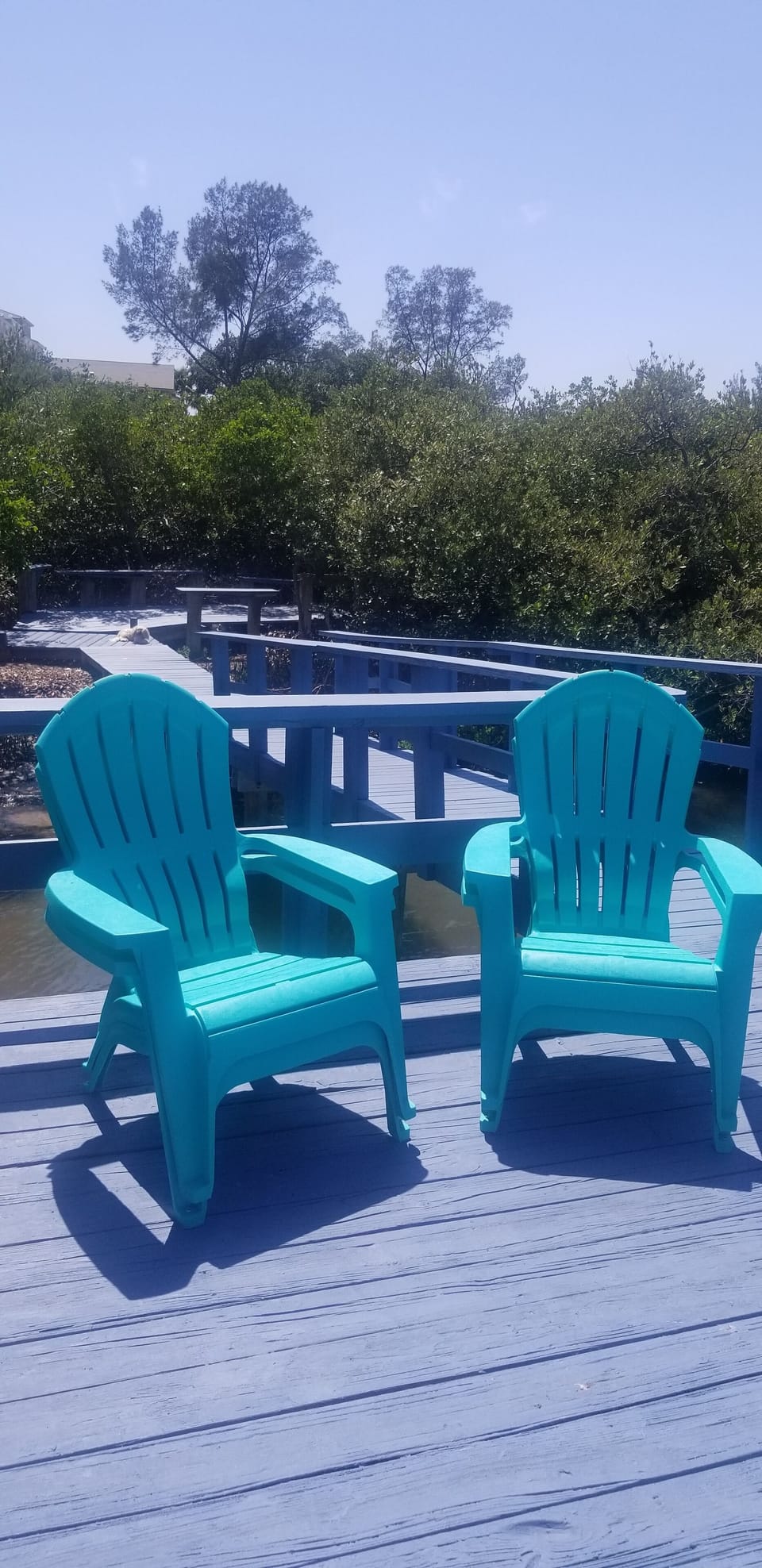 Relax on the dock.