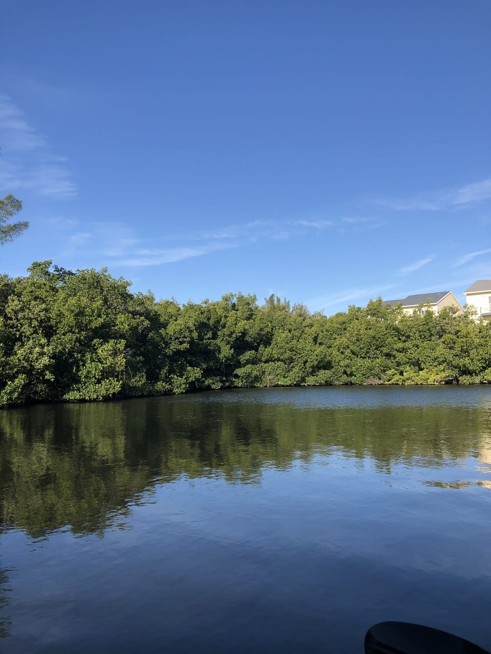 Relax in the private intercoastal mangrove lagoon