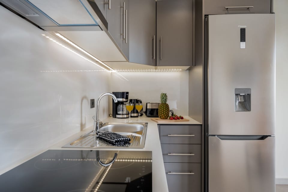 Superior 2-Bedroom Apartment | Private kitchen | Full-size fridge, oven, stovetop, espresso maker