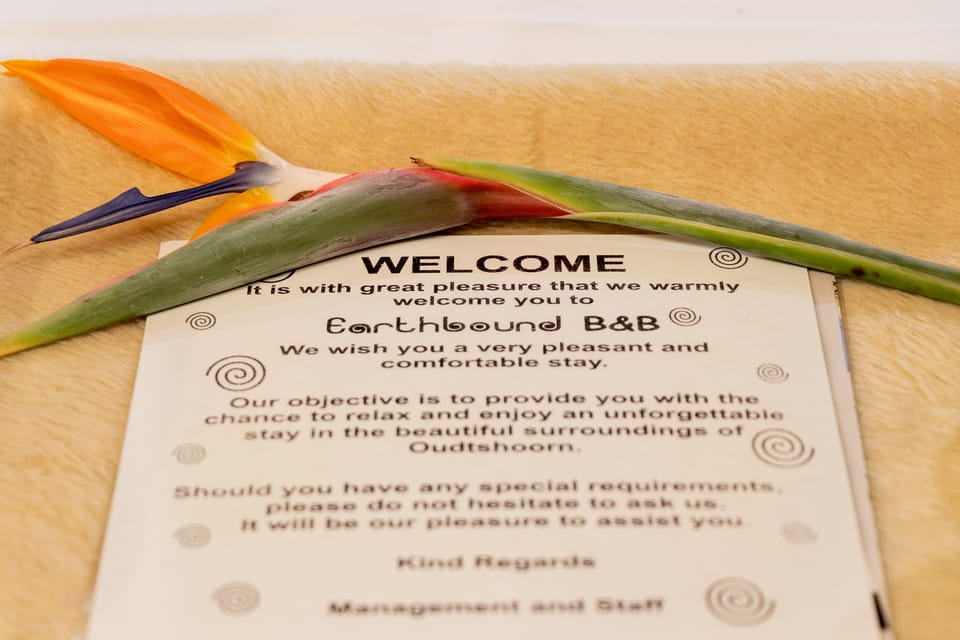 Honeymoon Room, 1 Bedroom (R3) | Premium bedding, in-room safe, individually decorated