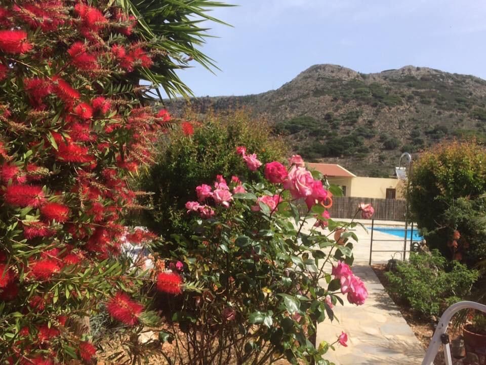 Views over Drapanos mountain 