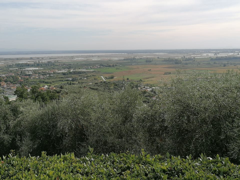 LAST-MINUTE!FANTASTIC PART OF RUSTIC IN THE VIEW ONLACOLLINE WITH PRIVATE POOL House in Tuscany