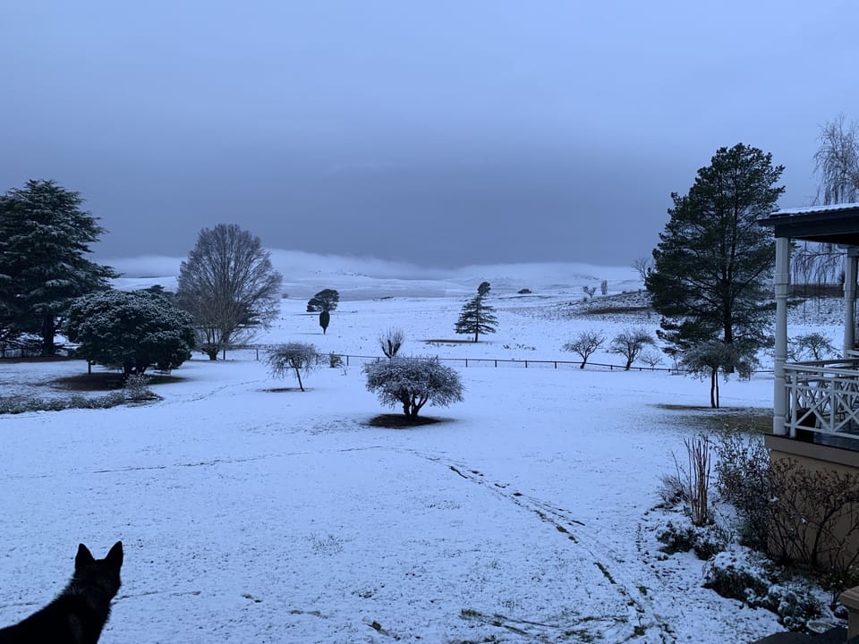 Snow View