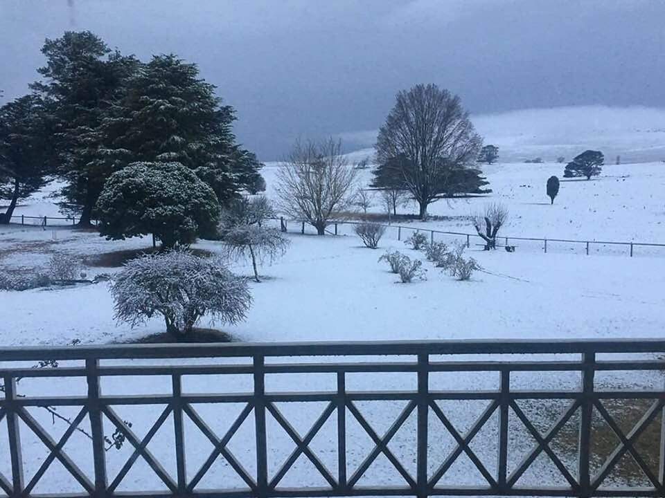 Snow View
