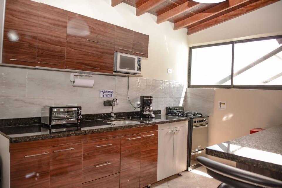 Penthouse kitchen