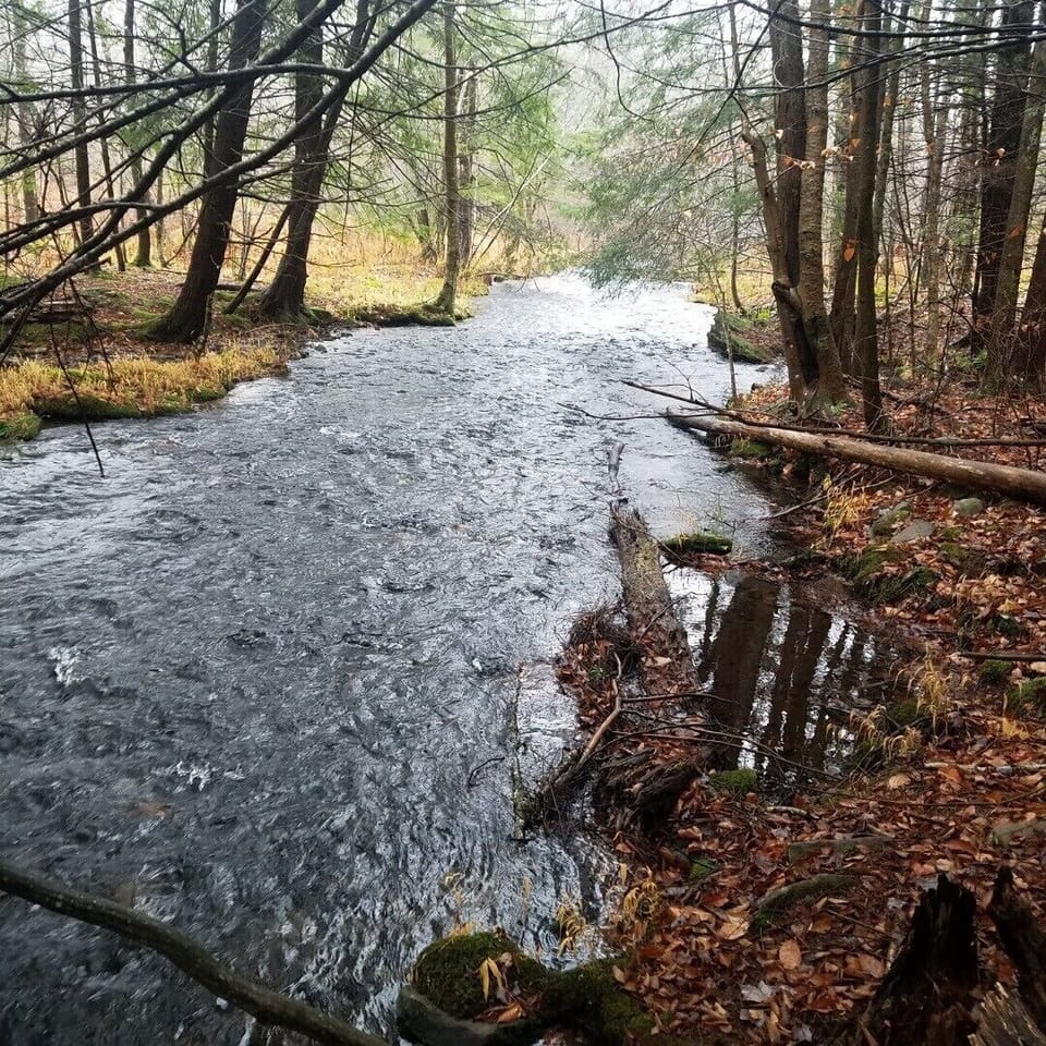Brook across the street