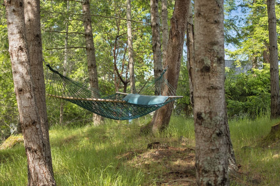 Hammock just off the deck in front of the home.