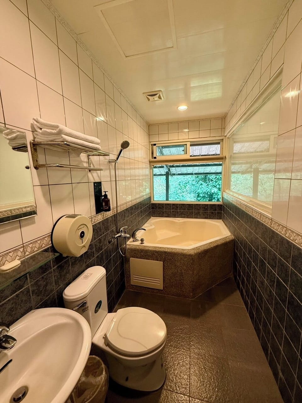 Panoramic Double Room | Bathroom | Shower, free toiletries, hair dryer, slippers