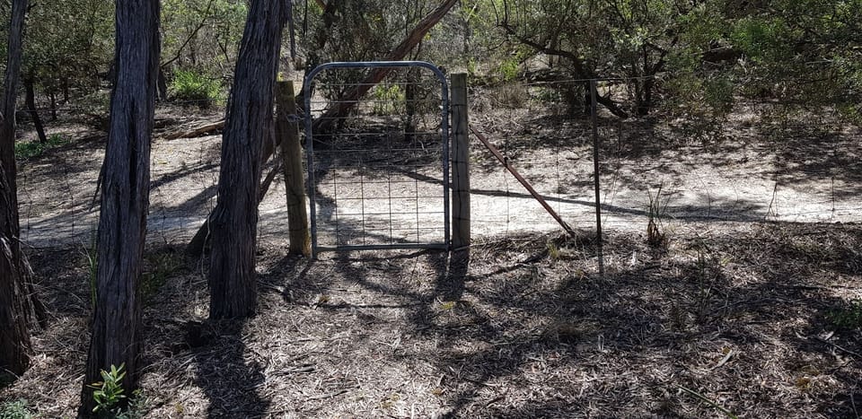 Back gate