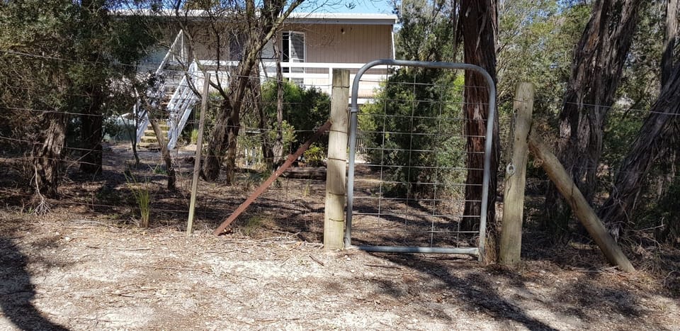 Back gate from path
