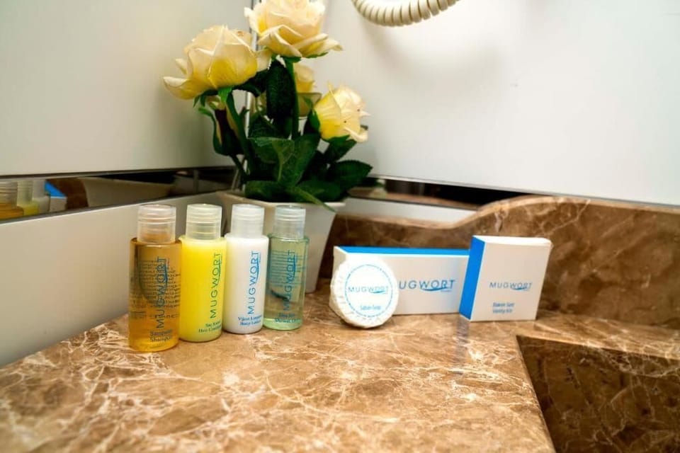 Deluxe Room | Bathroom | Free toiletries, hair dryer, slippers, towels