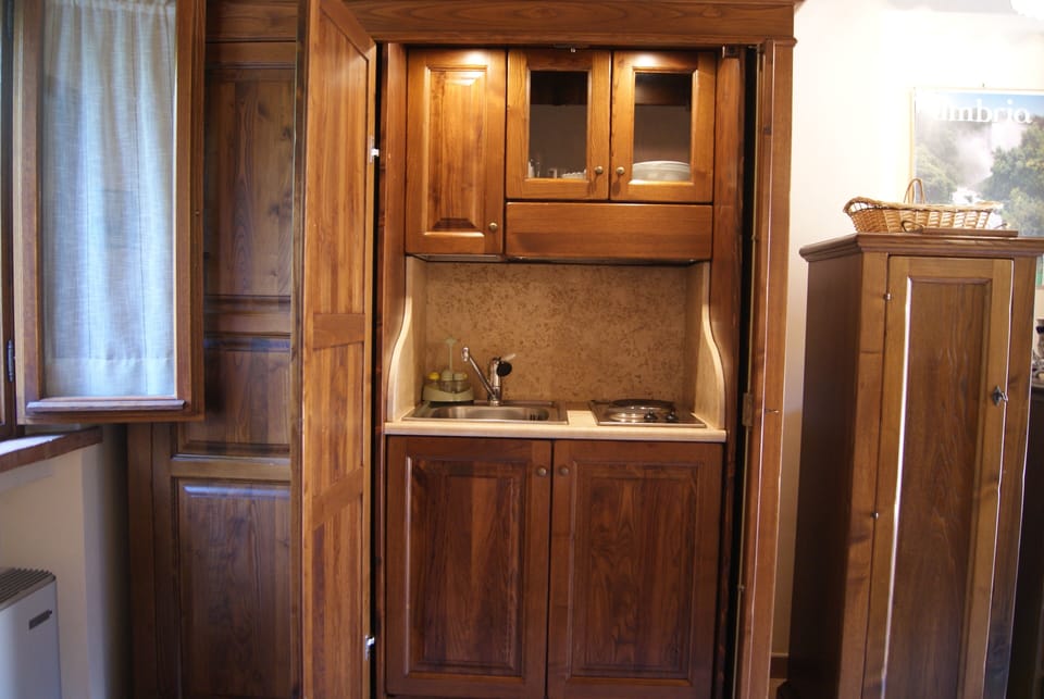 Honeymoon Studio Suite | Private kitchenette | Full-size fridge, microwave, oven, stovetop