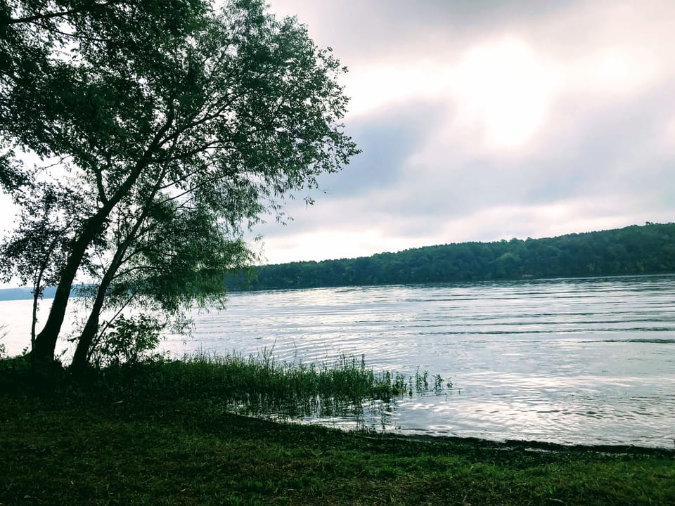This lake access is behind our home down a TVA path lined with mature trees. 