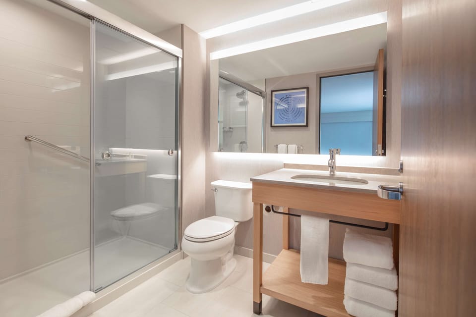 Shower, designer toiletries, hair dryer