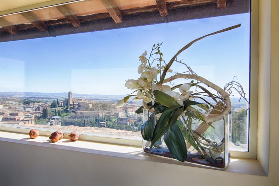 Luxury Suite, Ensuite, City View (Roof Top Altana) | View from property