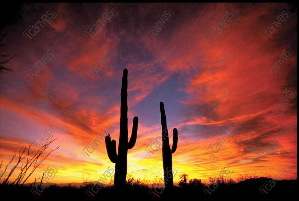 Magnificent Sunsets