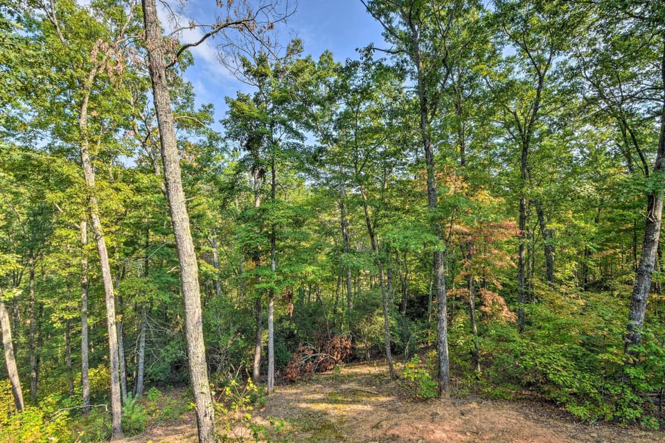 Surroundings | Wooded Views