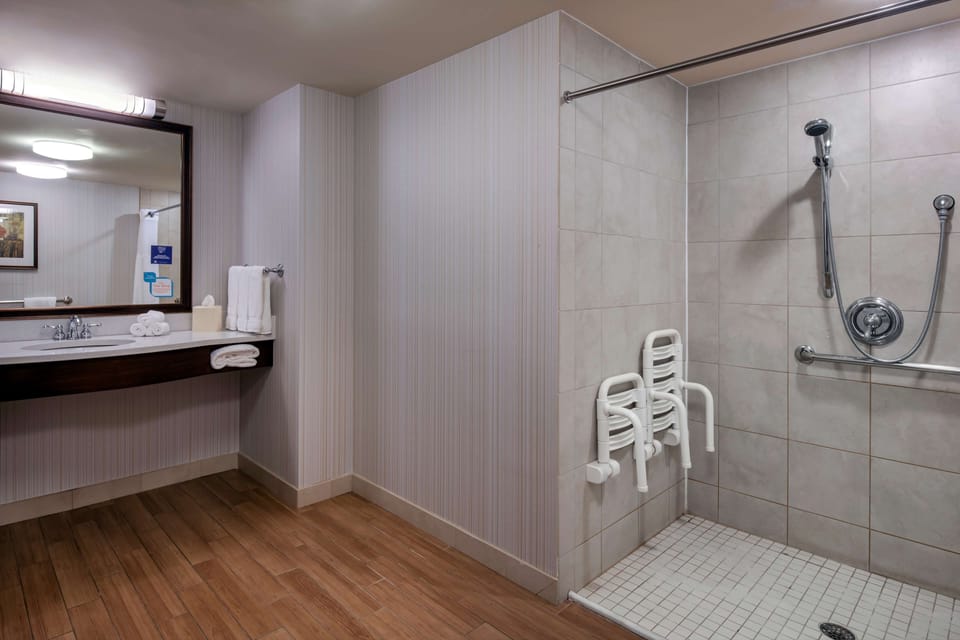 Room, 1 Bedroom, Accessible (Roll-In Shower) | Bathroom shower