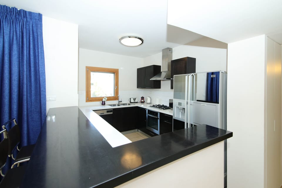 Luxury Apartment | Private kitchen | Full-size fridge, microwave, oven, stovetop