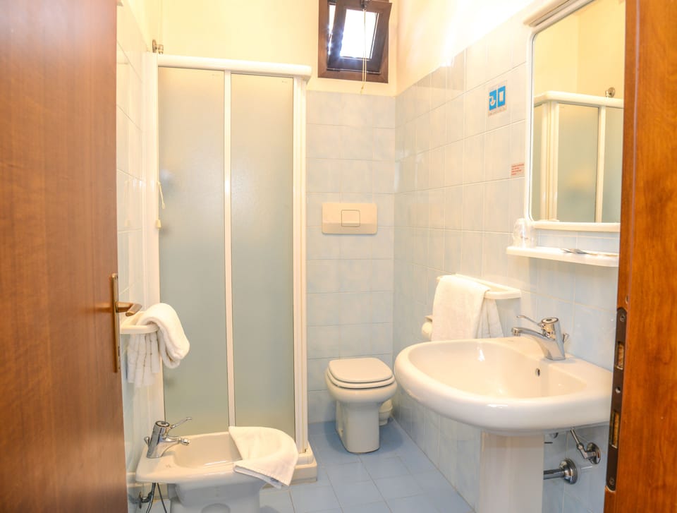 Shower, hair dryer, bidet, towels