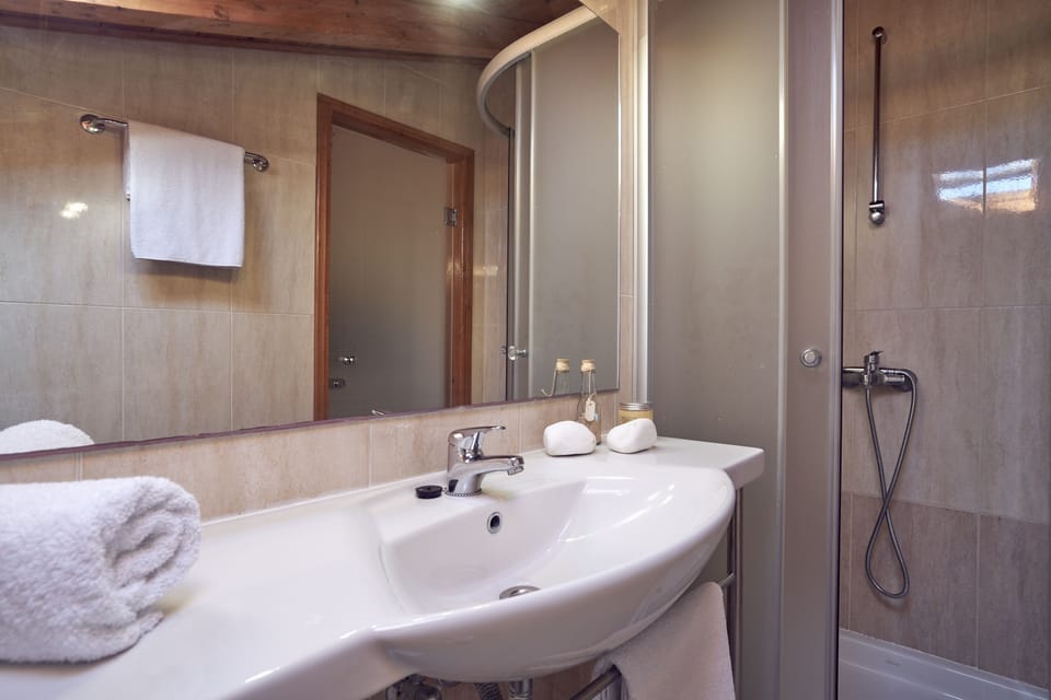 Deluxe Suite (Loft) | Bathroom | Free toiletries, towels, soap, shampoo