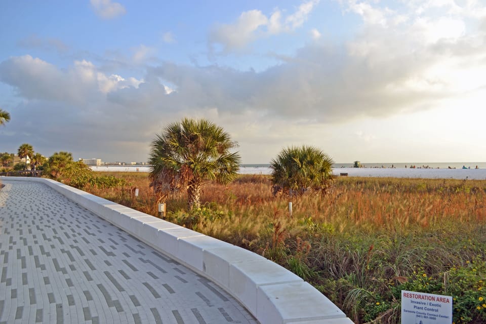 Scenic coastal walkway with tropical plants and distant water views