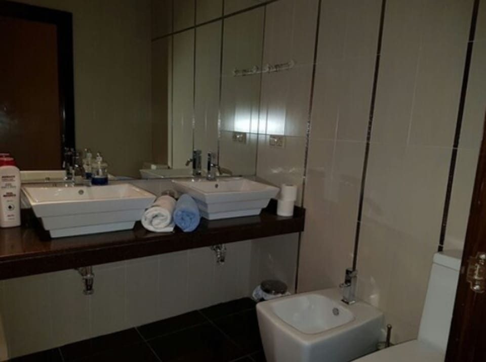 Twin Room | Bathroom sink