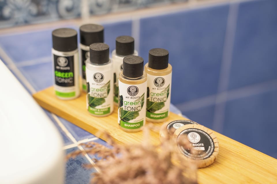 Shower, free toiletries, hair dryer, towels