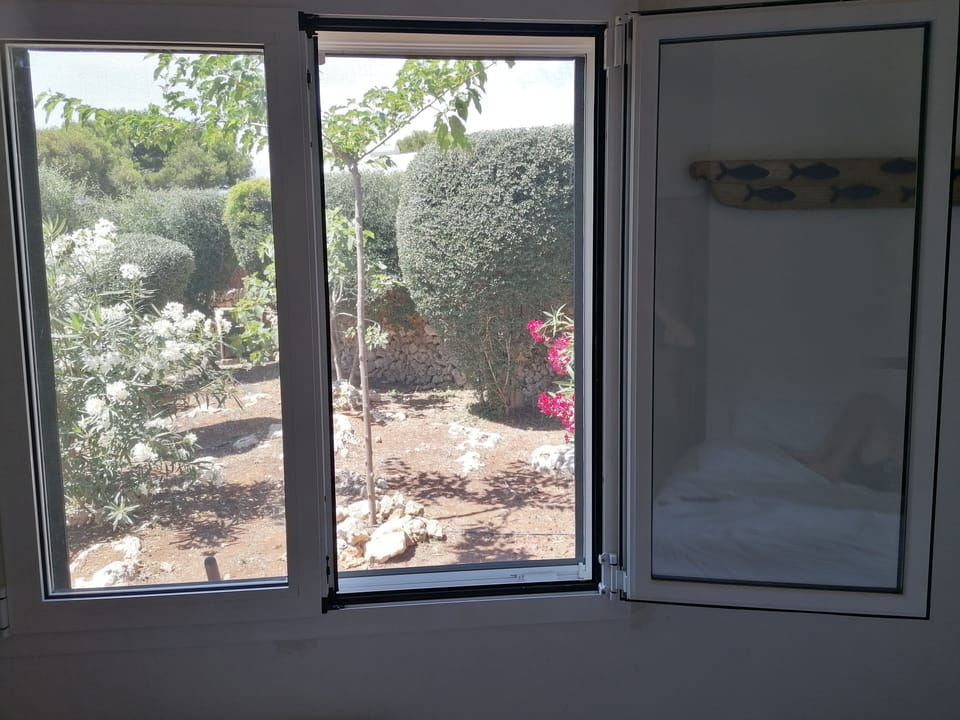 View from the family room in to the garden