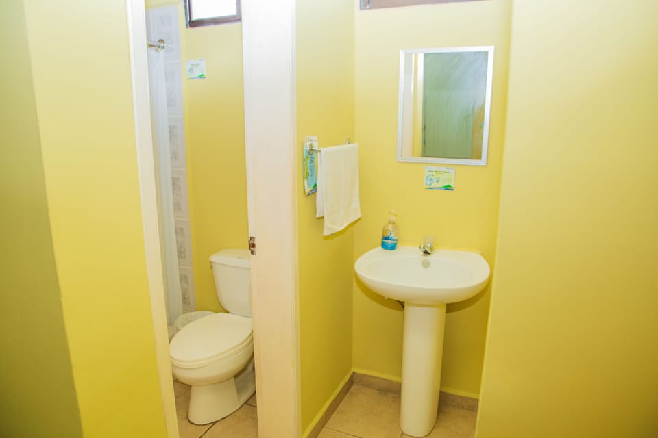 Economy Double Room, 2 Twin Beds | Bathroom | Shower, towels, soap, shampoo
